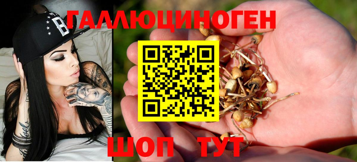 Углич  Псилоцибиновые грибы Cubensis  Галлюциногенные грибы мицелий  Вход с VPN 