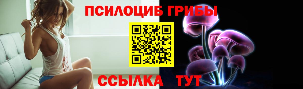 Псилоцибиновые грибы Psilocybine cubensis Углич
