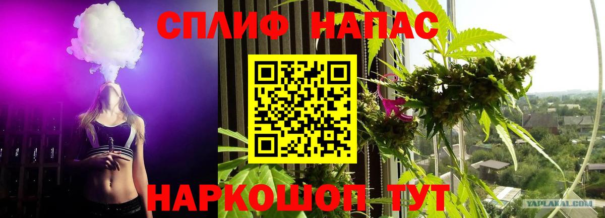 Бошки Шишки AK-47 Углич